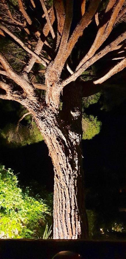 Villarama Saint-Tropez Dış mekan fotoğraf